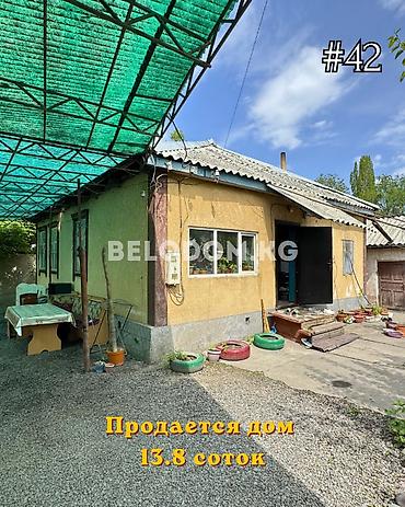 56: 🏠Продается дом в с. Беловодское Нижняя зона от трассы всего - 500м — 1