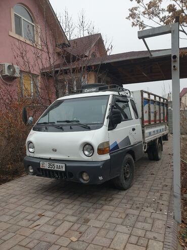 шиба ину питомник in Кыргызстан | СОБАКИ: Портер такси вывоз мусора вывоз Портер такси вывоз мусора вывоз
