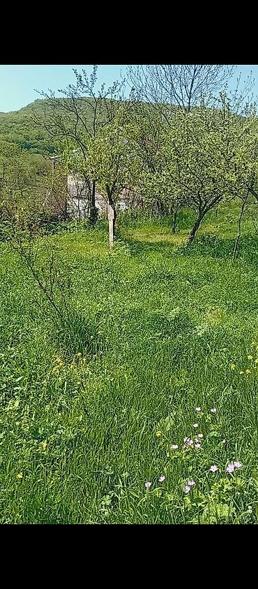 Torpaq sahələrinin satışı: Kənd təsərrüfatı — 2