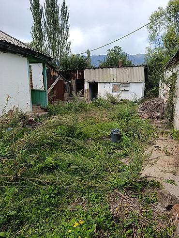 Продажа домов: Продаётся дом с участком в тихом зелёном месте. Участок огорожен, есть — 4