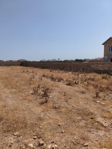 Qarajlar: 8 sot, Tikinti, Makler, Kupça (Çıxarış)