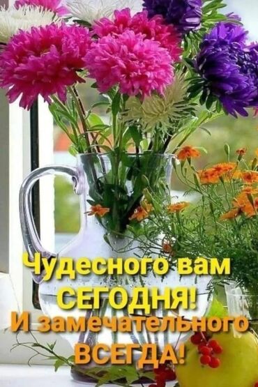полюби свою судьбу на арабском: Яркая открытка-изображение с букетом садовых астр в стеклянном кувшине