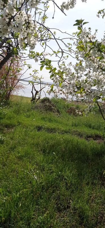 Torpaq sahələrinin satışı: 9 sot, Tikinti, Mülkiyyətçi, Kupça (Çıxarış) — 20