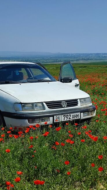 авторынок кыргызстан бишкек авто продажа сегодня: Volkswagen Passat: 1994 г., 1.8 л, Механика, Бензин, Седан