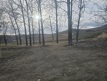 Torpaq sahələrinin satışı: 12 sot, Tikinti, Mülkiyyətçi, Kupça (Çıxarış) — 7