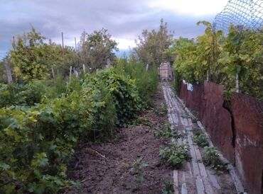 Həyət evləri və villaların satışı: 4 otaqlı, 80 kv. m, Kredit yoxdur, Orta təmir — 10