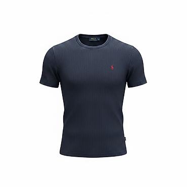 Футболки: Мужская футболка, M, L, XL, Polo Ralph Lauren, Новый, цвет - Синий, Самовывоз, Платная доставка — 2