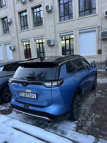 Weltmeister: Weltmeister W6, 2021 г., 74000 км, Передний, В наличии — 6