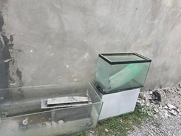 akvarium balaca: Dördbucaq akvarium, Boş, 100 l, Ödənişli çatdırılma, Ünvandan götürmə — 4