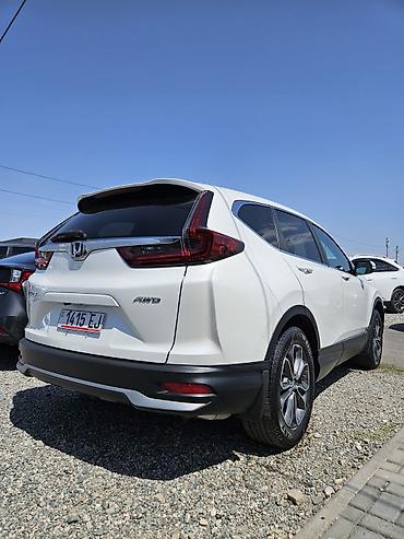 срв 2017: Honda CR-V: 2020 г., 1.5 л, Вариатор, Бензин, Кроссовер — 4