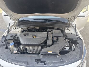 спринтер полный: Kia K5: 2018 г., Автомат, Газ, Седан