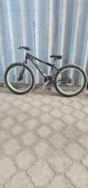 Горные велосипеды: Горный велосипед, Рама L (172 - 185 см), Сталь