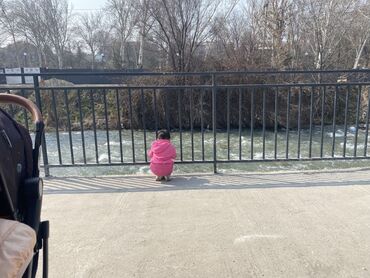 все коляски: Коляска