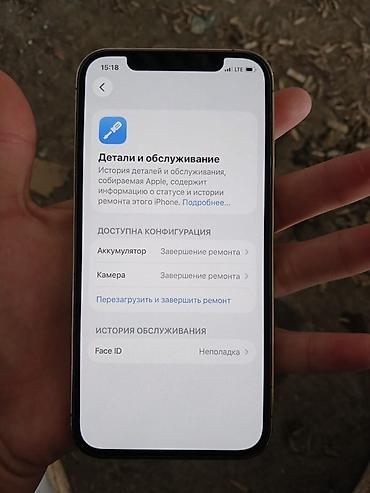 IPhone 12 Pro, цвет Gold (золотой), 6.1" Характеристики и