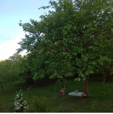 бина аз недвижимость: 20 sot, Biznes üçün, Maklerlər narahat etməsin, Kupça (Çıxarış)