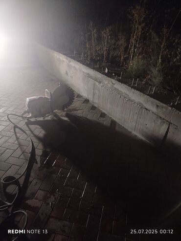 Beton işləri: Səssiz tozsuz səliqəli kəsim. Beton katlavan monolit kubik — 4