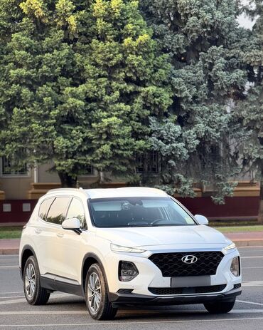 Hyundai: Hyundai Santa Fe: 2018 г., 2 л, Автомат, Дизель, Кроссовер
