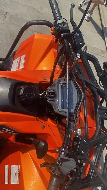квадроцикл для 12 лет: Квадроцикл BRP, Бензин, 250 куб. см, Взрослый — 5