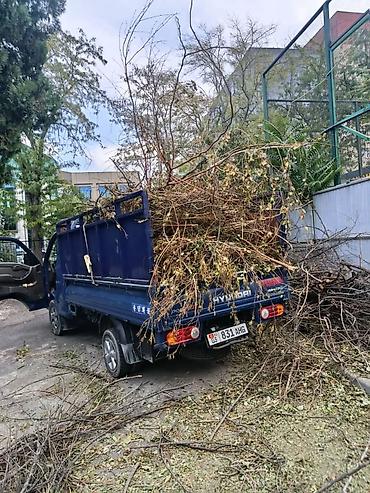 2500 тонн