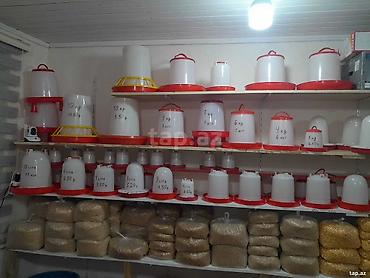 at satisi: 🐔 Toyuq, cücə və göyərçinlər üçün yem və su qabları satılır 📦 Su — 2