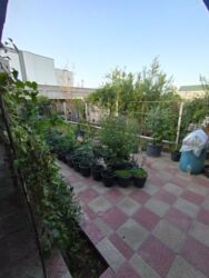 Həyət evləri və villaların satışı: Merdekanda gözel yerde 4 sotda 4 otaqlı ev satılır qazı, ışıqı, suyu — 14