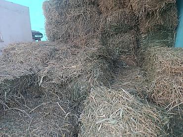 тай абакан: Продаю тюки 100шт.по250с.первый кос — 5