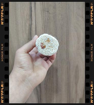 Süngərlər və fırçalar: Bu təbii luffa (loofah) süngəridir. Luffa bitkisinin (Luffa aegyptiaca — 2