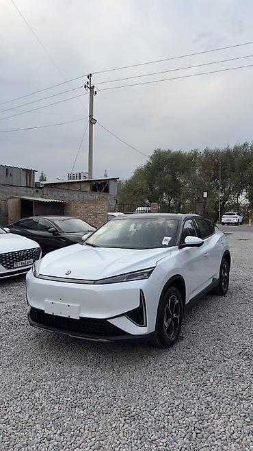 Dongfeng: Dongfeng : 2026 г. — 3