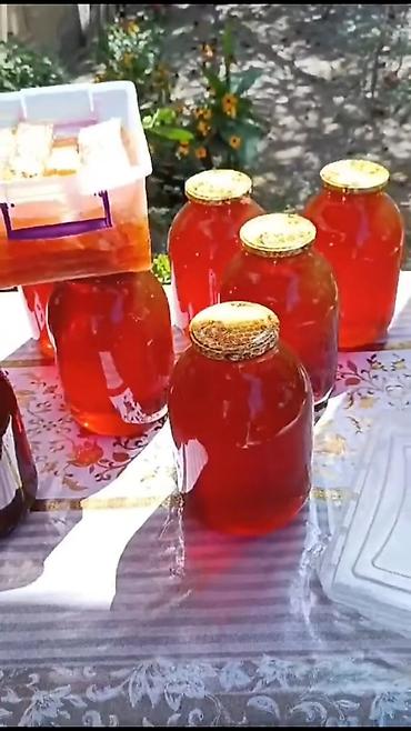 gul toxum satışı: Təbii arı balı – öz pətəyindən! - Məhsul: Çiçək balı (arı — 8