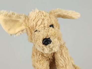 Mascot Dog, condition - Very good