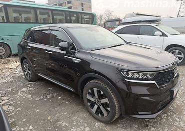 low ll: Kia Sorento: 2021 г., 2.2 л, Робот, Дизель — 2