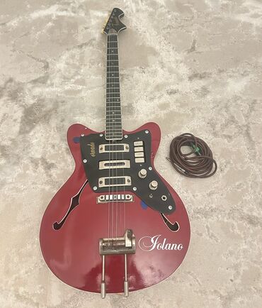 Elektro gitaralar: Elektron gitara, İşlənmiş — 10