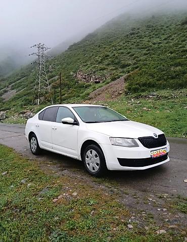 Skoda: Skoda Octavia: 2015 г., 1.6 л, Автомат, Бензин, Седан — 14