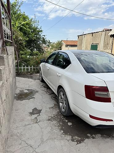 octavia: Skoda Octavia: 2014 г., 1.6 л, Автомат, Бензин, Лифтбек — 3