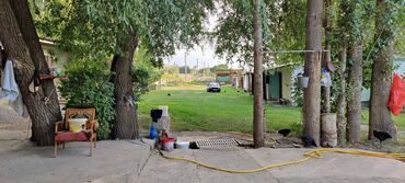 Сельхоз предприятия: Продается Кашара Фермерское- хозяйство с действующим бизнесом и с — 7