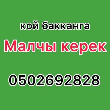 ищу работу переводчика: Требуется Пастух, Оплата Ежемесячно, Питание