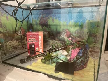 аквариум с рыбами: Комплект аквариума продаю 7999 сом
