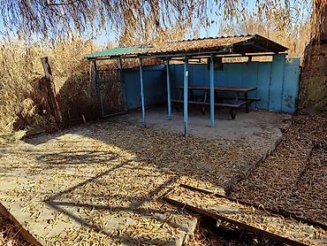 Распашные ворота: Продается дом, в доме четыре комнатыверанда,душ с туалет, есть at lalafo.kg — 20 Распашные ворота: Продается дом, в доме четыре комнатыверанда,душ с туалет, есть — 20