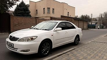 camry 2010: Toyota Camry: 2002 г. — 5