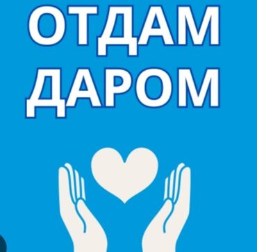 как заказать секонд хенд из европы: Отдам даром вещи для новорожденных почти новые,постиранноебез пятен
