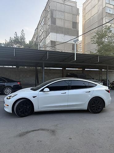 tesla pi: Tesla Model 3: 2021 г., 4.7 л, Автомат, Электромобиль, Лифтбек — 4