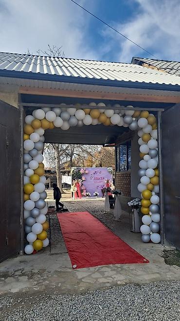 Организация мероприятий: Организация мероприятий | Гелевые шары, Оформление мероприятий — 8