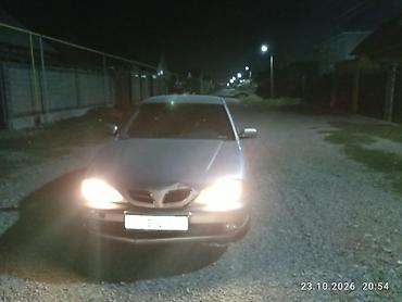 форд экскорд: Nissan Primera: 2026 г., Седан — 8