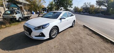 купить хонда элемент: Hyundai Sonata: 2019 г., 2 л, Автомат, Газ, Седан