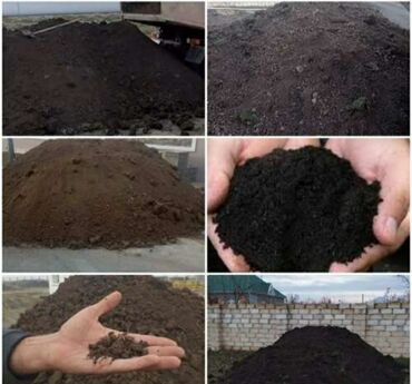 Bitki torpaqları: Qara Torpaq Peyin sifarisi.Şamaxi Ismayilli rayonlarindan istəyə uygun — 8
