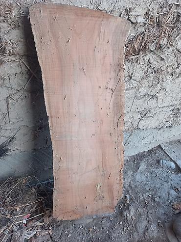 где найти сливы пантеры: 2 жыл 6 ай кыкта көмүлүп жаткан өрүк дарагынын бөлүгү чыныгы комуз — 3