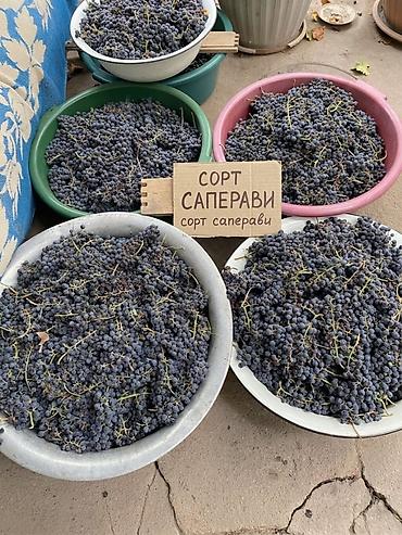 Виноград: Виноград Оптом, В розницу — 1