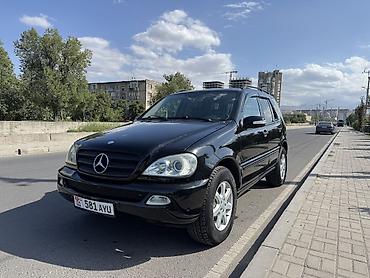 Mercedes-Benz: Mercedes-Benz M-Class: 2004 г., 3.7 л, Автомат, Газ, Внедорожник — 1