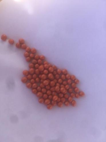 Люцерна: Продаю/куплю семена люцерны и свеклы — 24