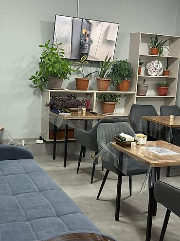 Аренда отелей и хостелов: Хостел/мини-гостиница с современными удобствами - Номера: светлые — 28